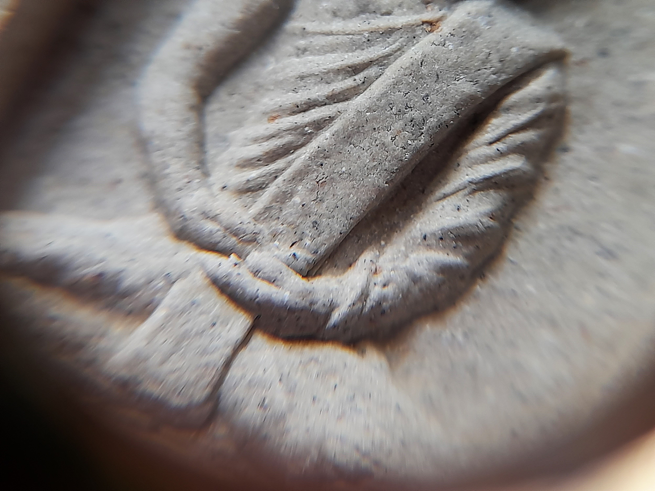 หลวงพ่อยี วัดดงตาก้อนทอง พิมพ์นั่งตั่ง เนื้อผงมวลสารวิเศษ ฝังข้าวทิพย์ ปี2558 #รับประกันแท้ - หลวงพ่อถาวร วัดปทุมวนาราม