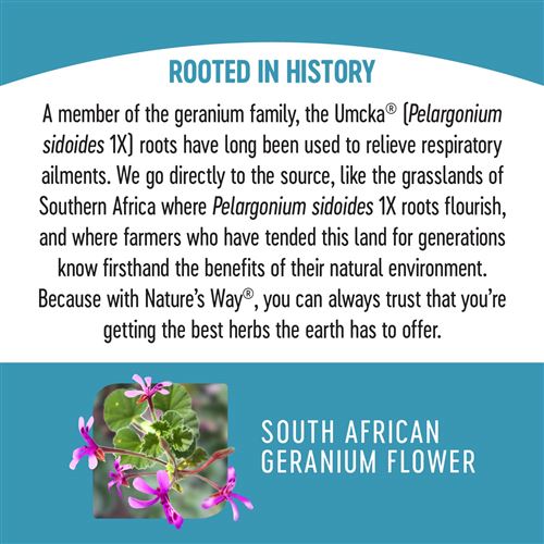 วิตามินบรรเทาอาการหวัดสำหรับเด็กชนิดเคี้ยว Nature's Way Umcka ColdCare Kids Chewable Tablets