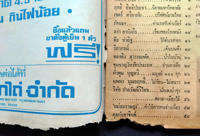 ฟ้าเมืองไทย ฉบับที่ 248