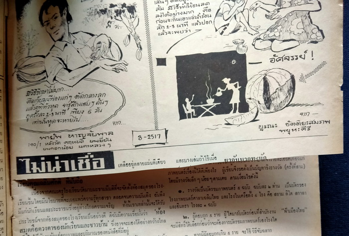 ฟ้าเมืองไทย ฉบับที่ 256 (ตำหนิ)