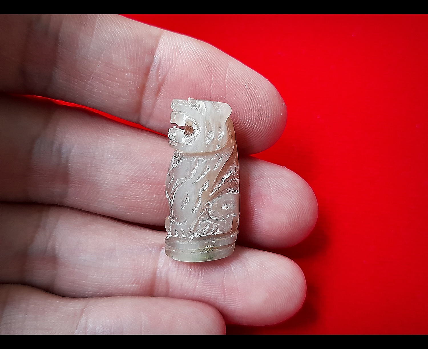 เสือ พยัคฆ์พรหม(กันชงแก้ชง) แกะสลักจาก เนื้อเขาควายเผือกแท้ ปี2564 (จารย์ยันต์และอุดเม็ดกริ่งมวลสารทุกองค์) #รับประกันแท้ - หลวงพ่อหนุน วัดพุทธโมกข์