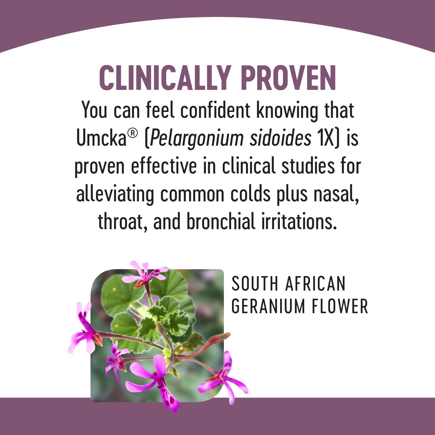 วิตามินบรรเทาอาการหวัดชนิดน้ำ Nature's Way Umcka Elderberry Intensive Cold+Flu Soothing Syrup