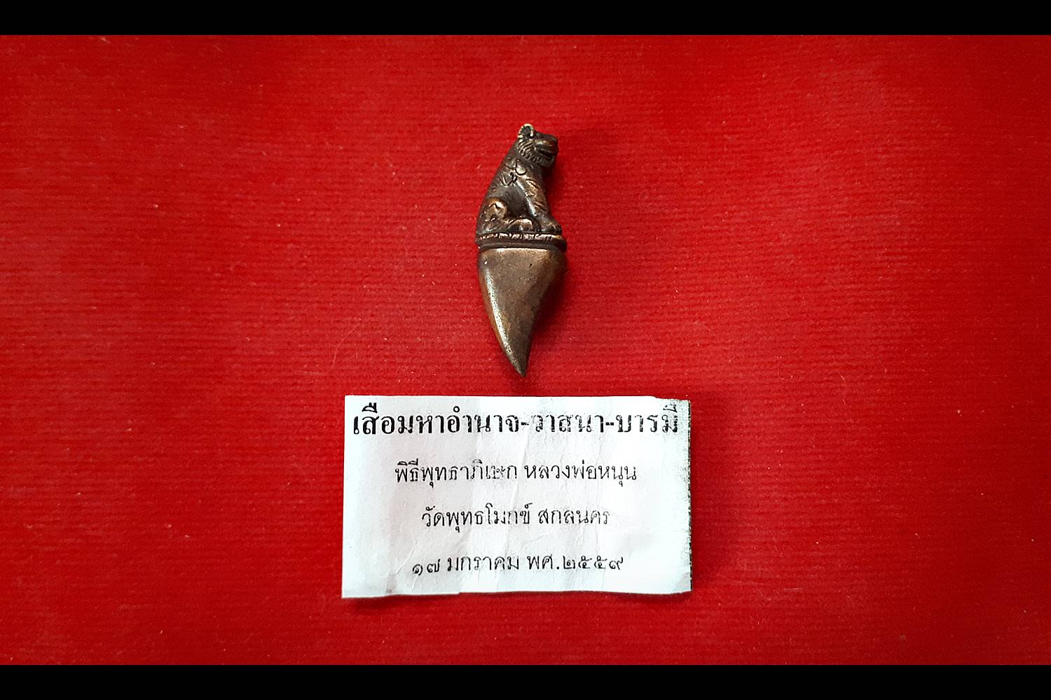 เสือ เนื้อโลหะชนวน ปี2559 - หลวงพ่อหนุน วัดพุทธโมกข์