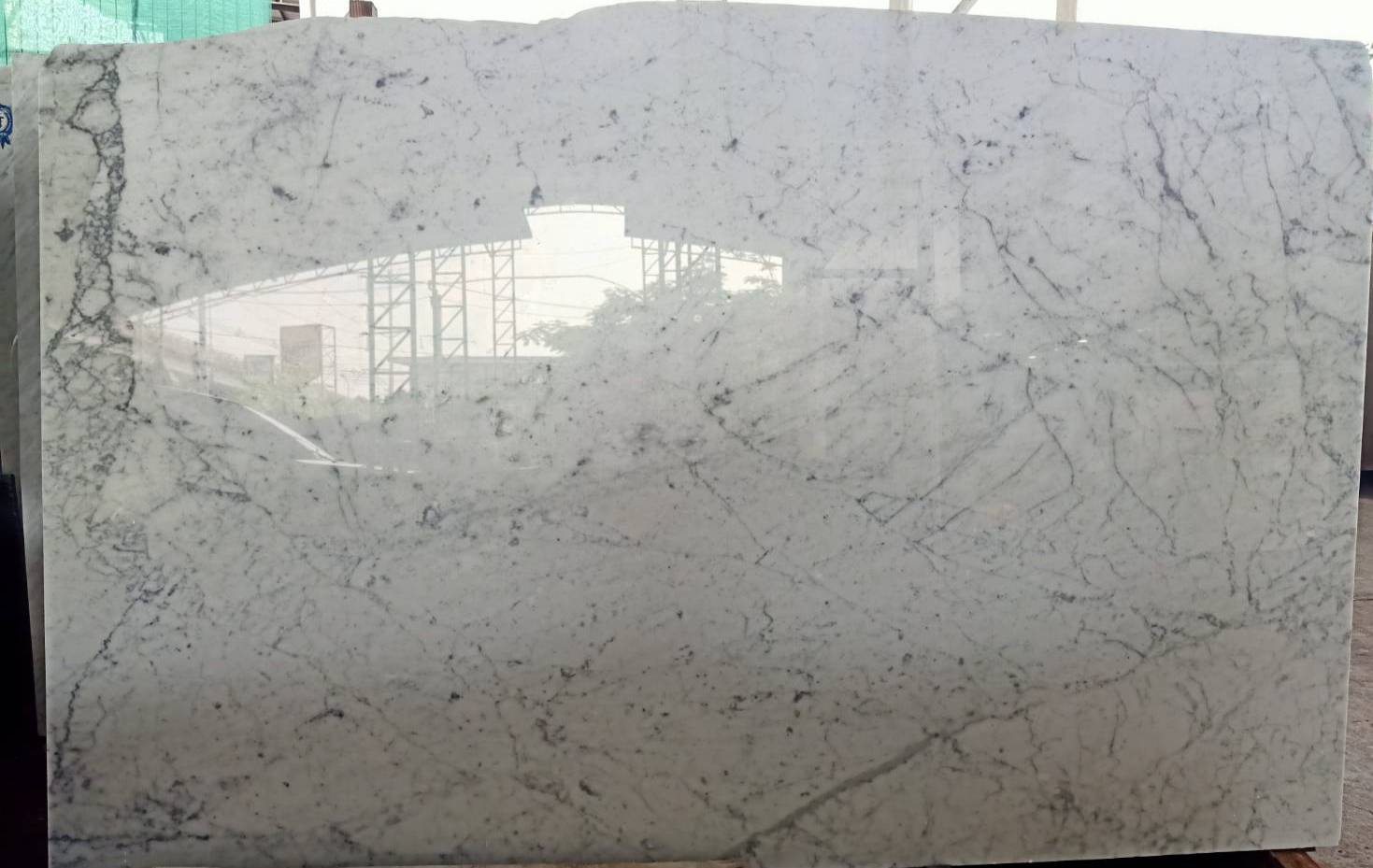 หินอ่อน ไวท์คาราร่า white carrara marble (WCM)