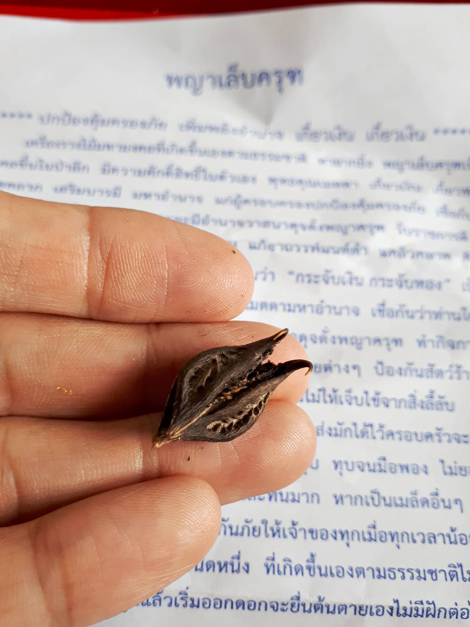 เล็บครุฑ วัตถุมงคลเครื่องราง