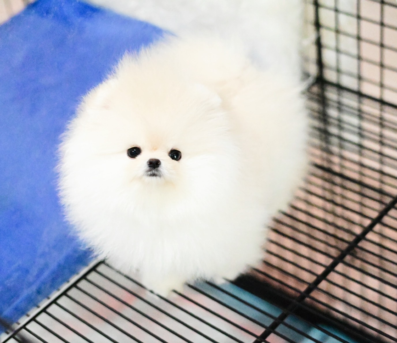 ย้ายบ้านแล้ว