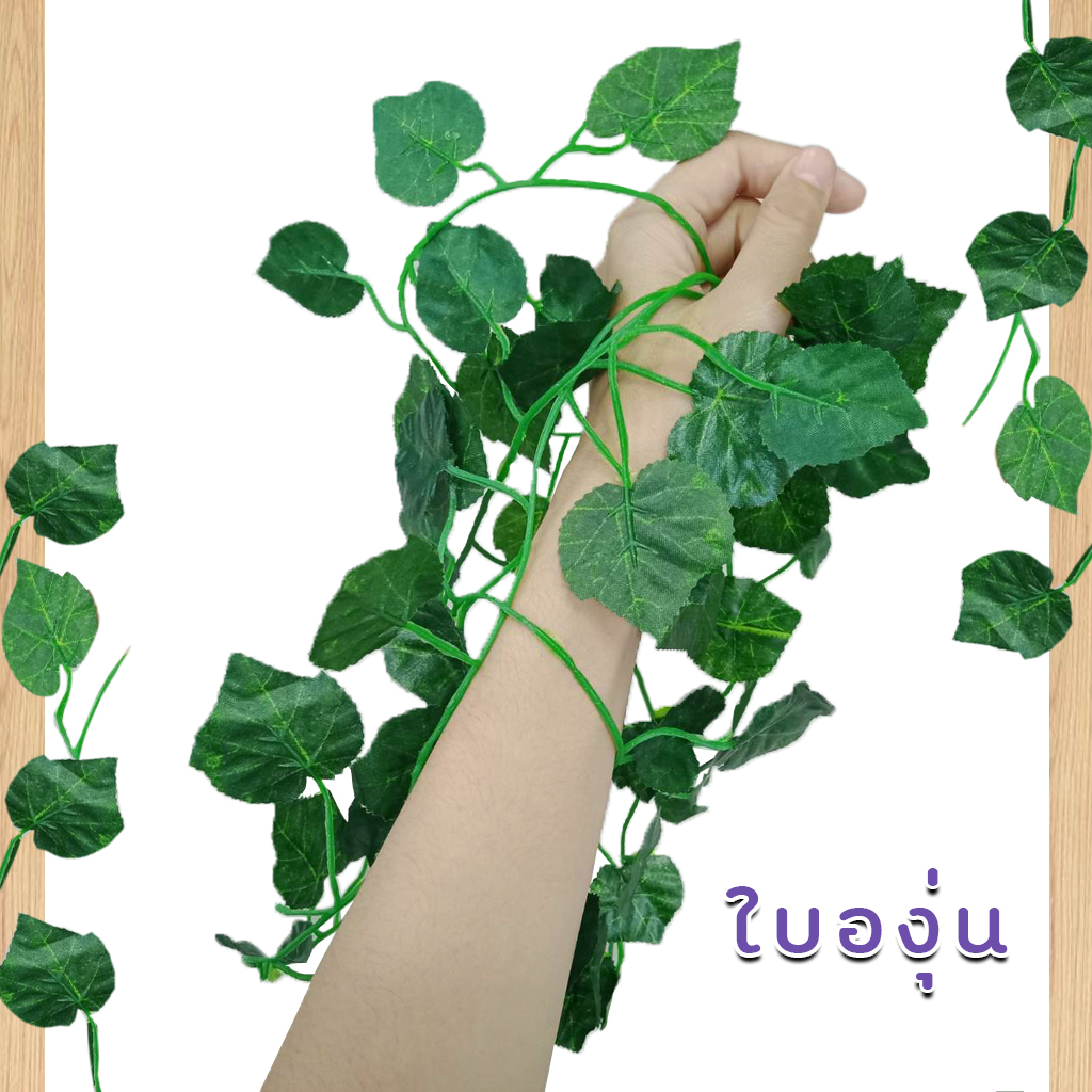 เถาวัลย์ ไม้เลื้อยเล็ก 1 แพค มี 12 เส้น ( ยกแพค 12 เส้น )
