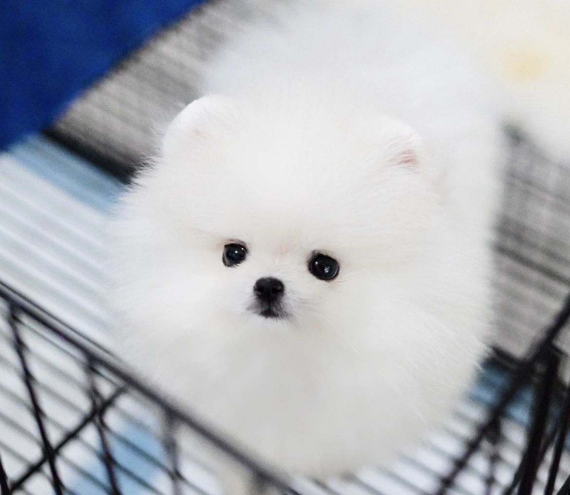 ย้ายบ้านแล้ว