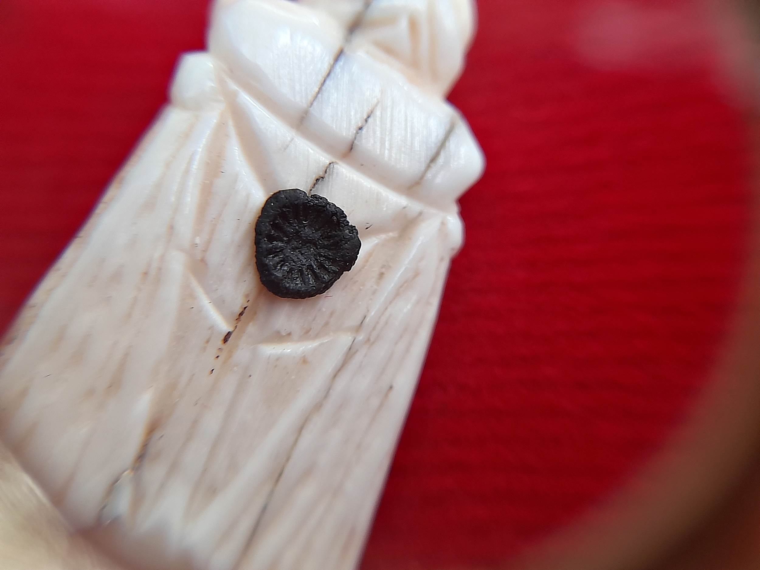 แมลงภู่ งาช้างแท้ (บรรจุเข็มทองคำ+ปรอทสำเร็จ+ยาวาสนาจินดามณี) ปี2566 #รับประกันแท้