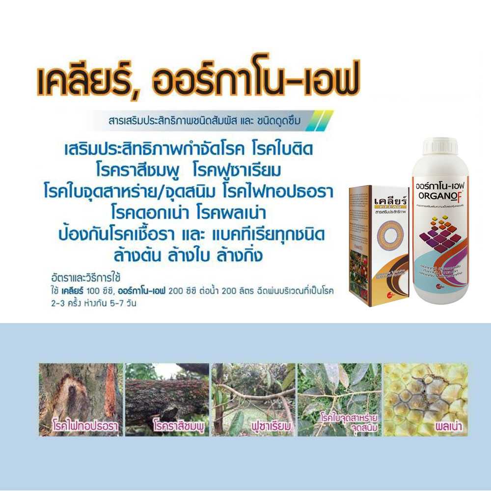 เซ็ทคู่ เคลียร์ ออร์กาโน่ สารเสริมประสิทธิภาพกำจัดโรคพืช