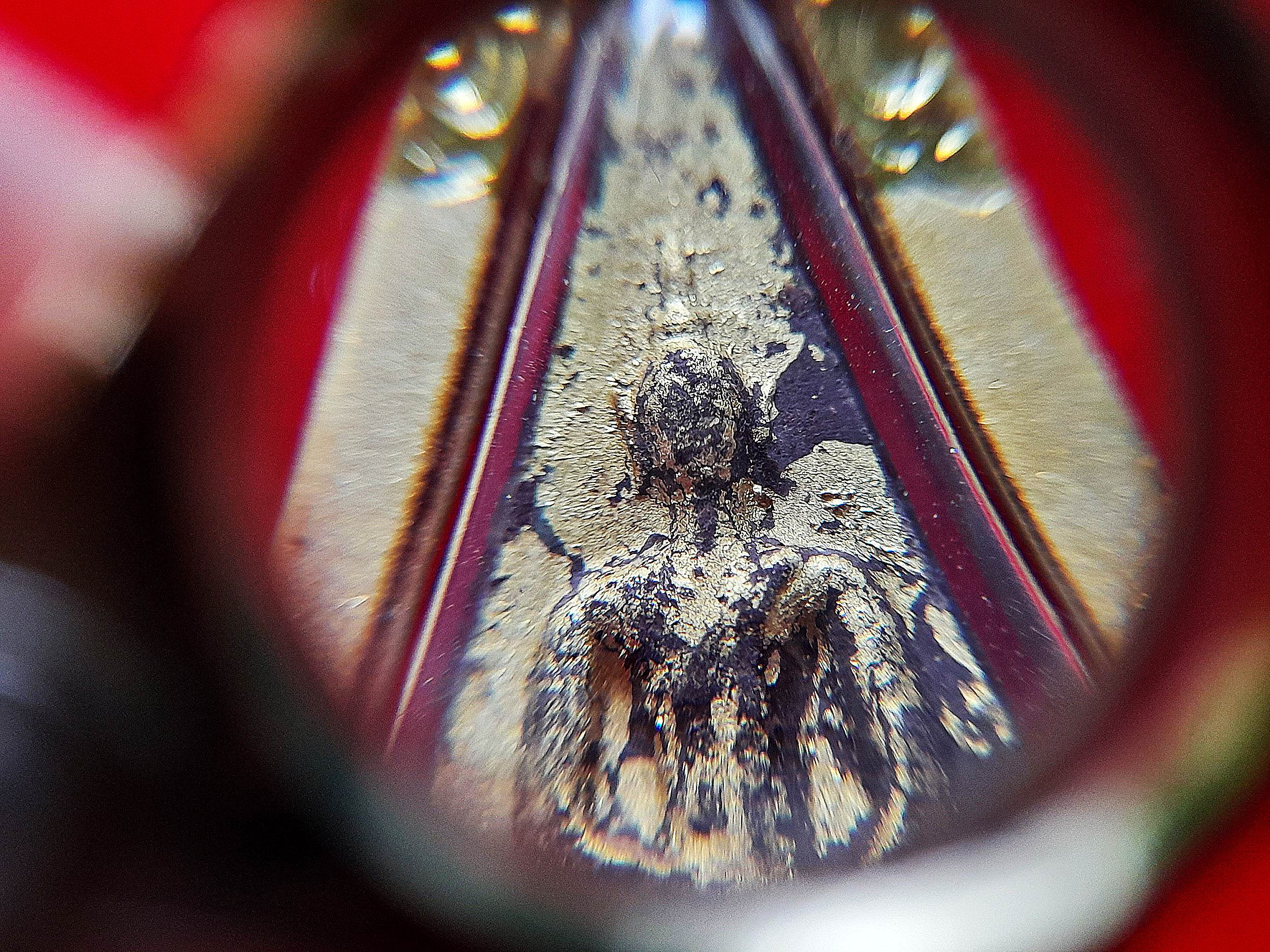 พระสมเด็จ นางพญา (พิมพ์สมเด็จจิตรลดา) หลังฝัง ฝังทั้งข้าวทิพย์-ว่านไพลดำ (ได้มวลสารพระราชทาน จาก ร.9) ปี2548-2549 #รับประกันแท้และทัน - (กรอบไมครอนชุบทอง เลี่ยมกันน้ำ)