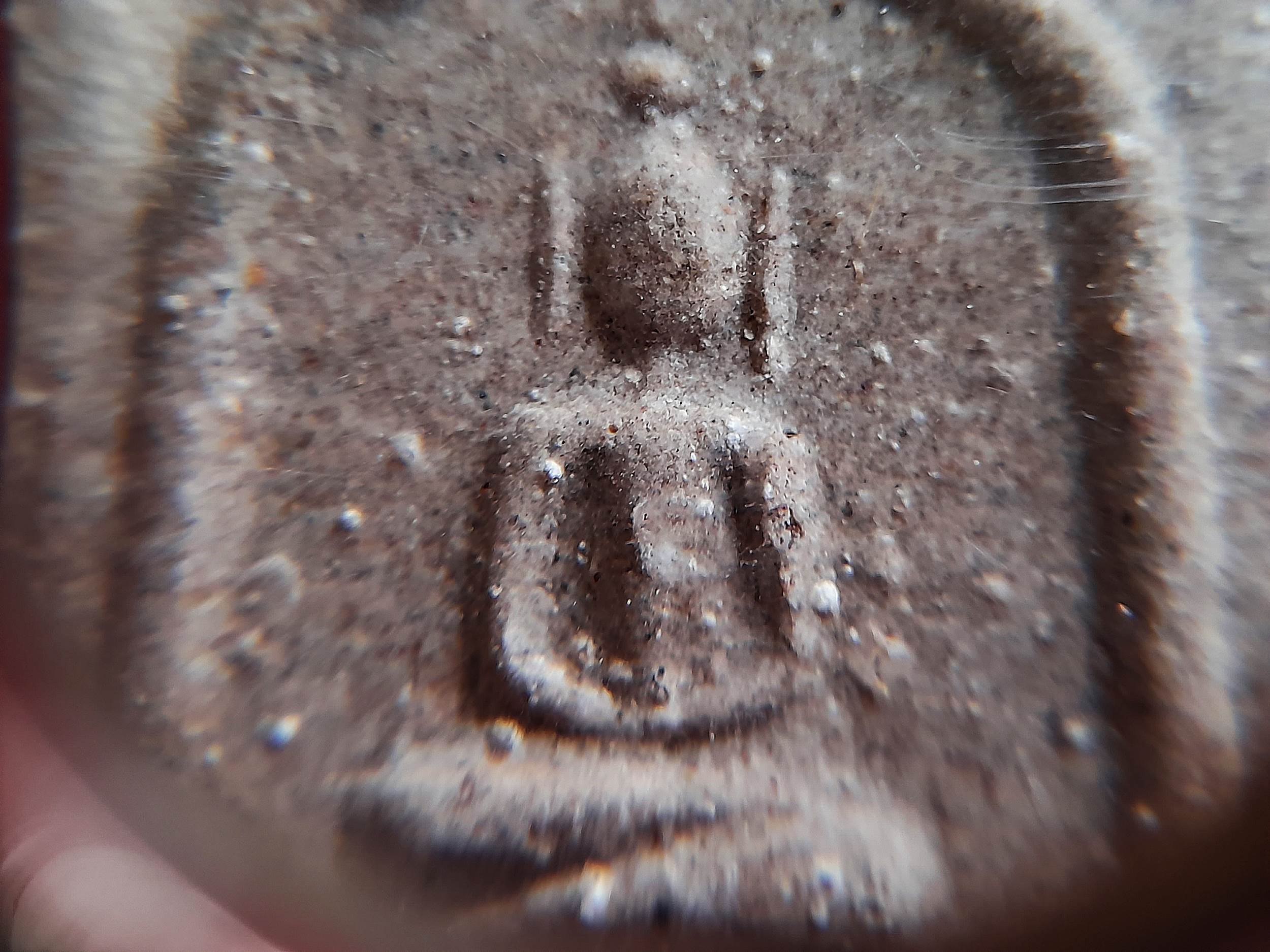 พระสมเด็จ หลวงพ่อยี วัดดงตาก้อนทอง จ.พิษณุโลก (ลูกบุญธรรมหลวงปู่เทพโลกอุดร) เนื้อผง ฝั่ง ข้าวทิพย์ + ข้าวเปลือก + ไพรดำ ปี2548 #รับประกันแท้ - (หลวงพ่อถาวร วัดปทุม จัดสร้างย้อนยุค)