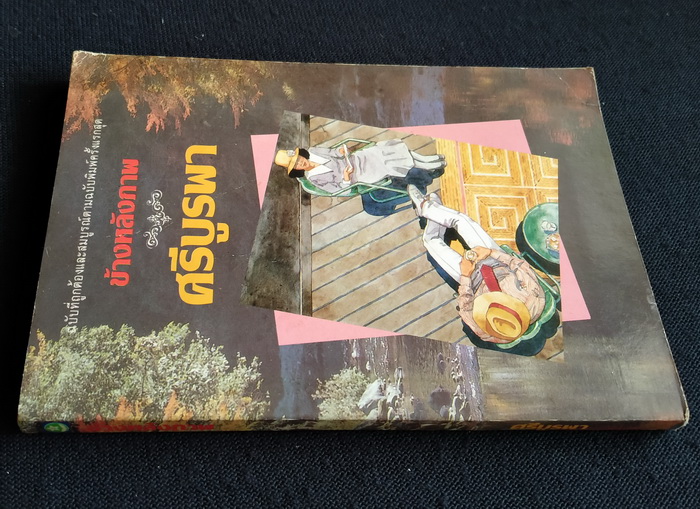 ข้างหลังภาพ