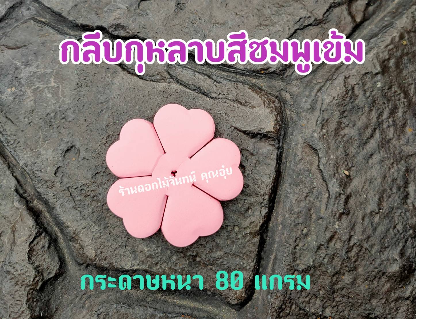 กลีบดอกไม้จันทน์กุหลาบ กลีบกุหลาบ กลีบกุหลาบสีชมพูเข้ม กลีบกุหลาบชมพูเข้ม กลีบกุหลาบทิพย์ ดอกไม้จัน กลีบดอกไม้จันทน์กุหลาบสีชมพูเข้ม