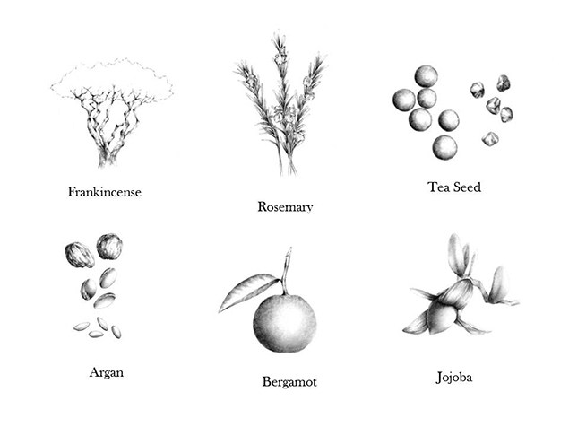 Three Balancing UV Protector R SPF40 PA+++ (Waterproof) 30mL ครีมกันแดดสำหรับผิวหน้าที่มีส่วนผสมจากธรรมชาติถึง 94% แต่ให้การปกป้องผิวจากรังสี UVA และ UVB ด้วยค่า SPF สูงสุด เนื้อครีมบางเบาเกลี่ยง่าย ไม่ทิ้งคราบขาวและความมัน ใช้ก่อนรองพื้นแ