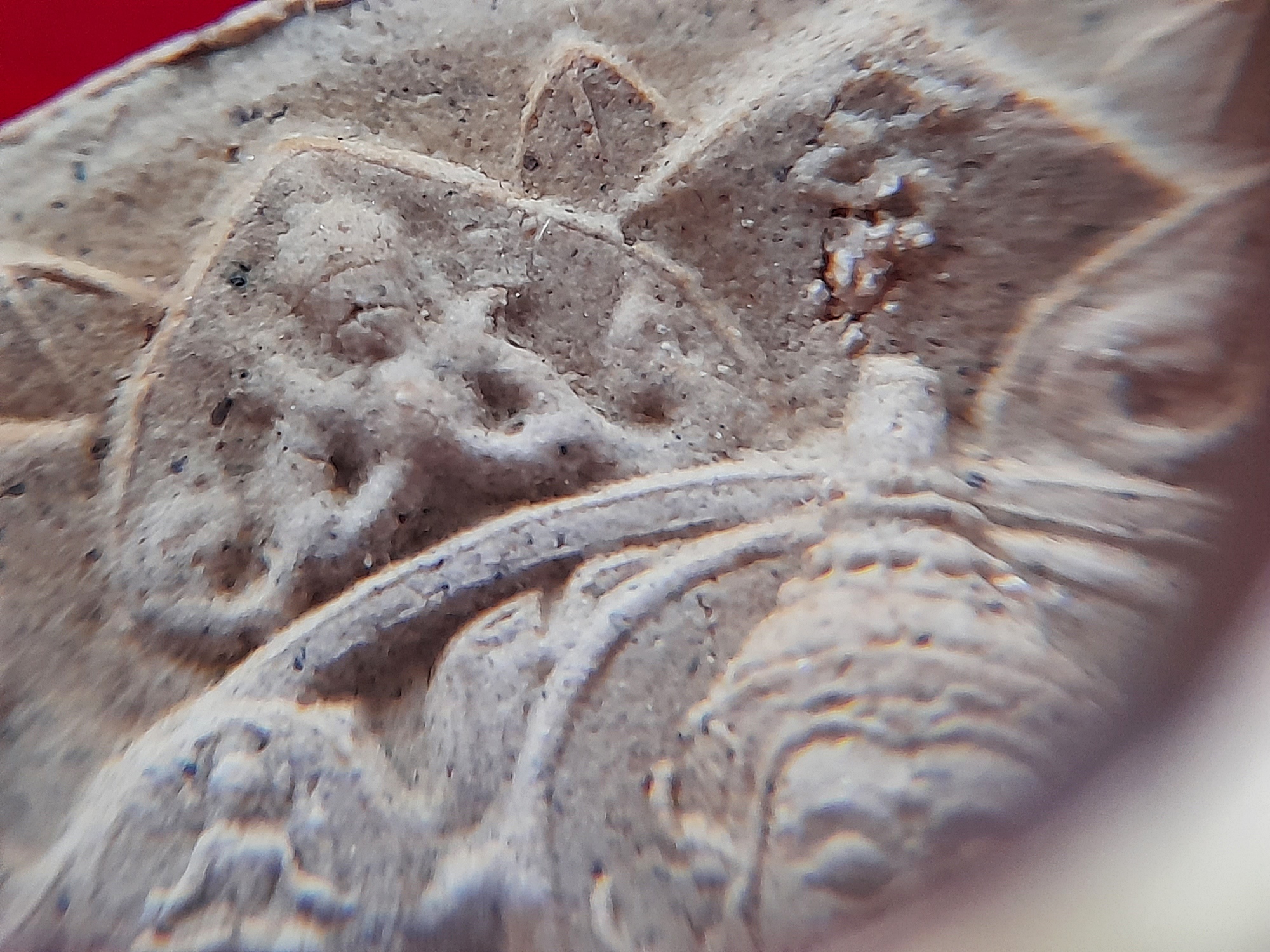 พระจักรพรรดิ ชัยมงคล เนื้อผง(ผงมวลสารเก่าและเส้นเกศา หลวงพ่อสด วัดปากน้ำ) ปี2550 พิธีใหญ่ #รับประกันแท้ - หลวงป๋า วัดหลวงพ่อสด ปลุกเสกทำวิชาธรรมกาย