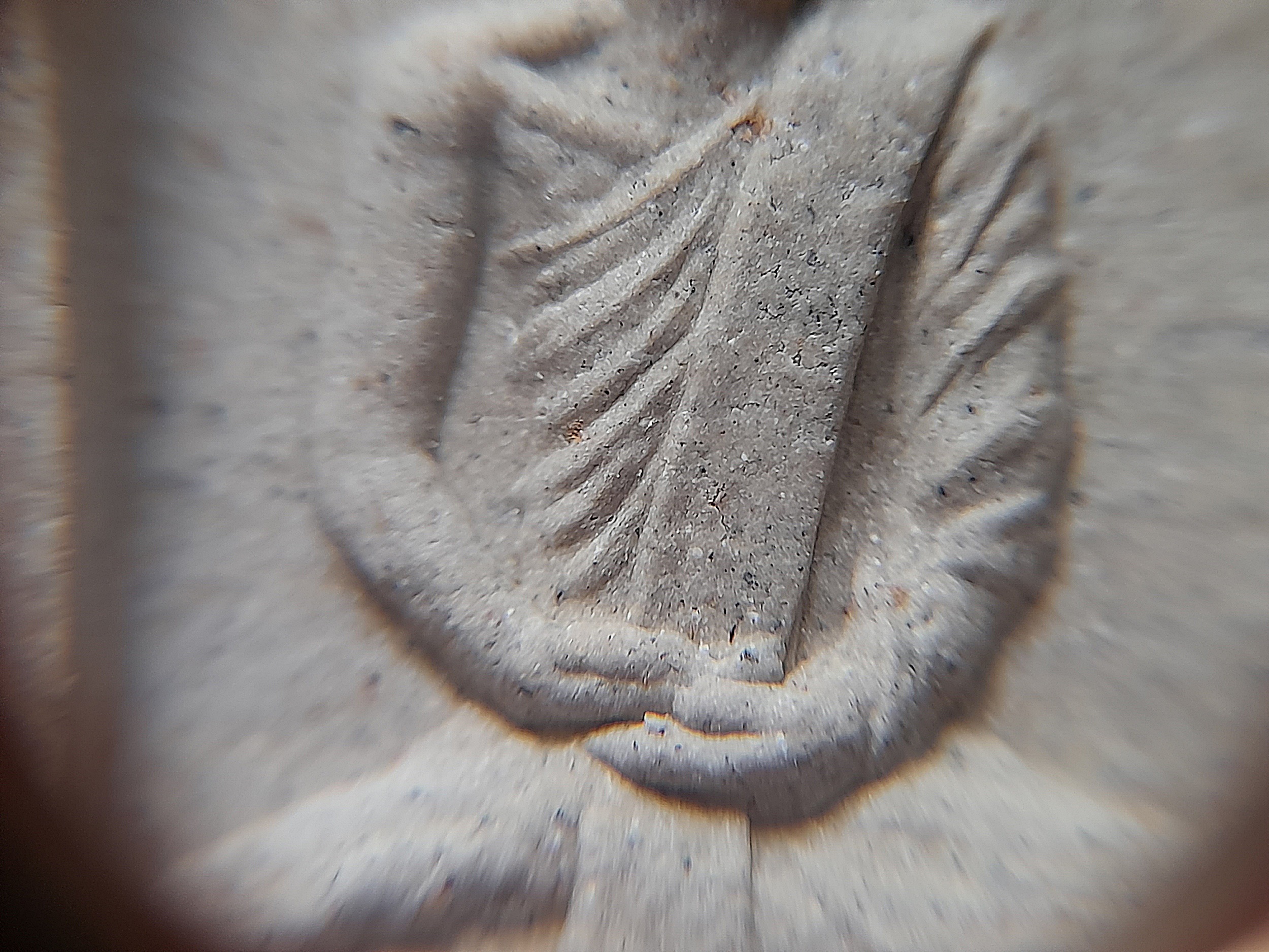 หลวงพ่อยี วัดดงตาก้อนทอง พิมพ์นั่งตั่ง เนื้อผงมวลสารวิเศษ ฝังข้าวทิพย์ ปี2558 #รับประกันแท้ - หลวงพ่อถาวร วัดปทุมวนาราม