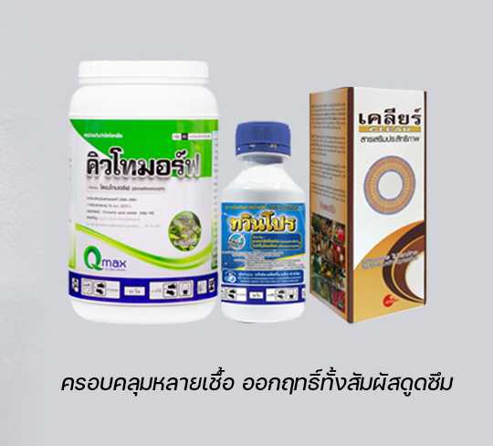 ชุดหยุดท็อป รวดเร็ว ครอบคลุมหลายเชื้อ ป้องกันการลุกลาม