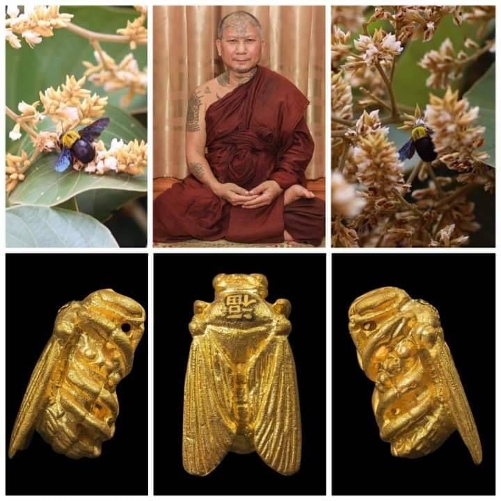 แมลงภู่ เนื้อปรอทกายสิทธิ์ #รับประกันแท้ - หลวงปู่อุดมทรัพย์(พระอาจารย์จ่อย) วัดเวฬุวัน จ.ศรีสระเกษ จัดสร้างและดำเนินการปลุกเสก