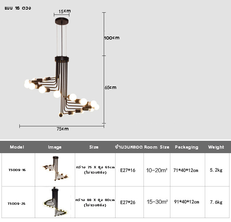 โคมไฟระย้าเหล็กแขวนเพดานสไตล์ลอฟท์ [T5009]