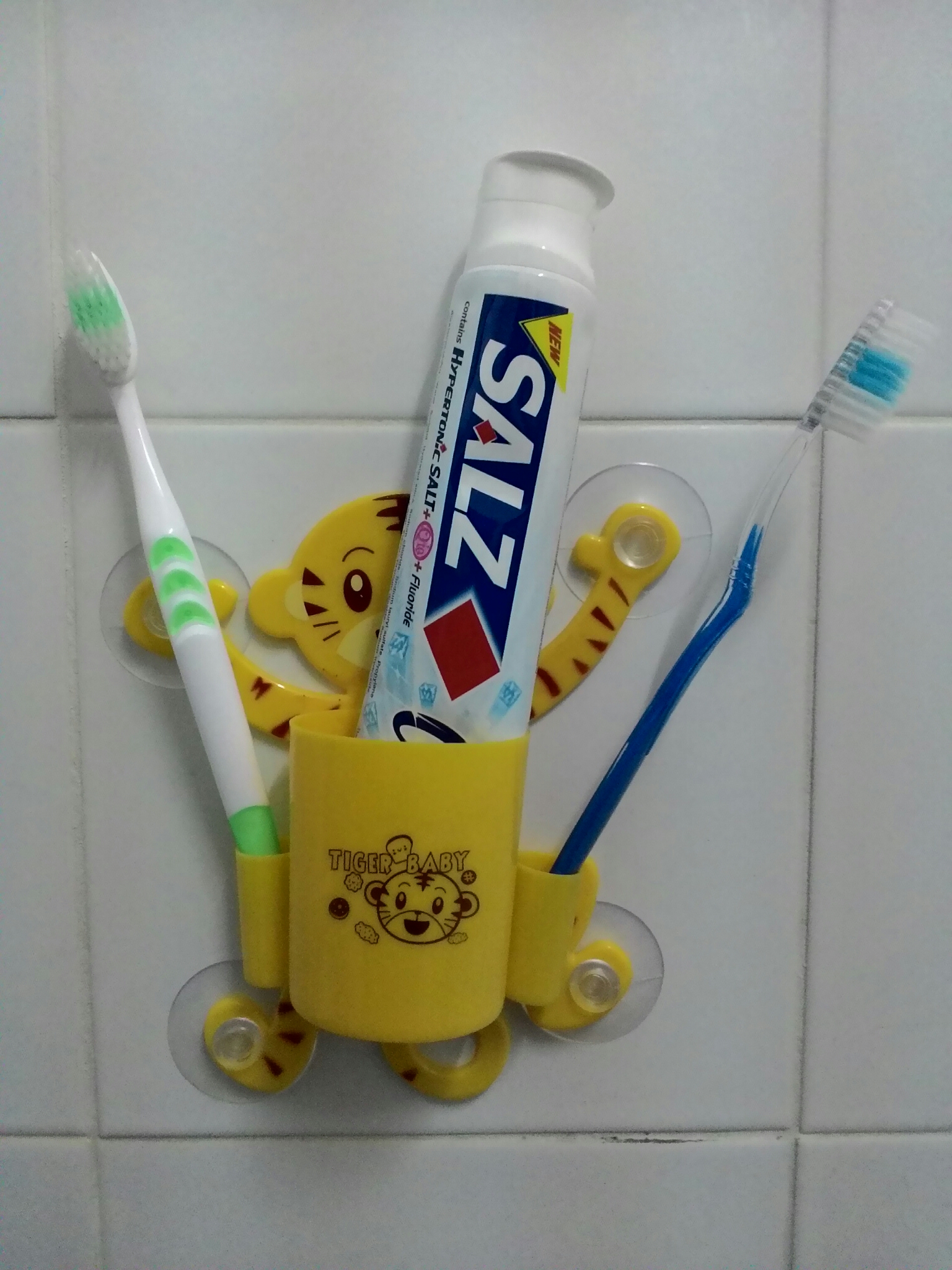 ที่เก็บยาสีฟันและแปรงสีฟัน