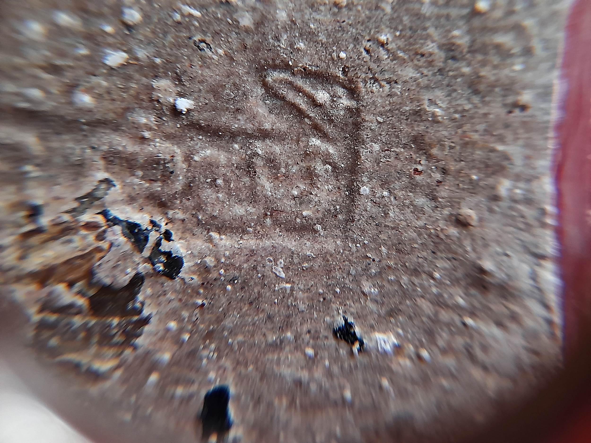 พระสมเด็จ หลวงพ่อยี วัดดงตาก้อนทอง จ.พิษณุโลก (ลูกบุญธรรมหลวงปู่เทพโลกอุดร) เนื้อผง ฝั่ง ข้าวทิพย์ + ข้าวเปลือก + ไพรดำ ปี2548 #รับประกันแท้ - (หลวงพ่อถาวร วัดปทุม จัดสร้างย้อนยุค)