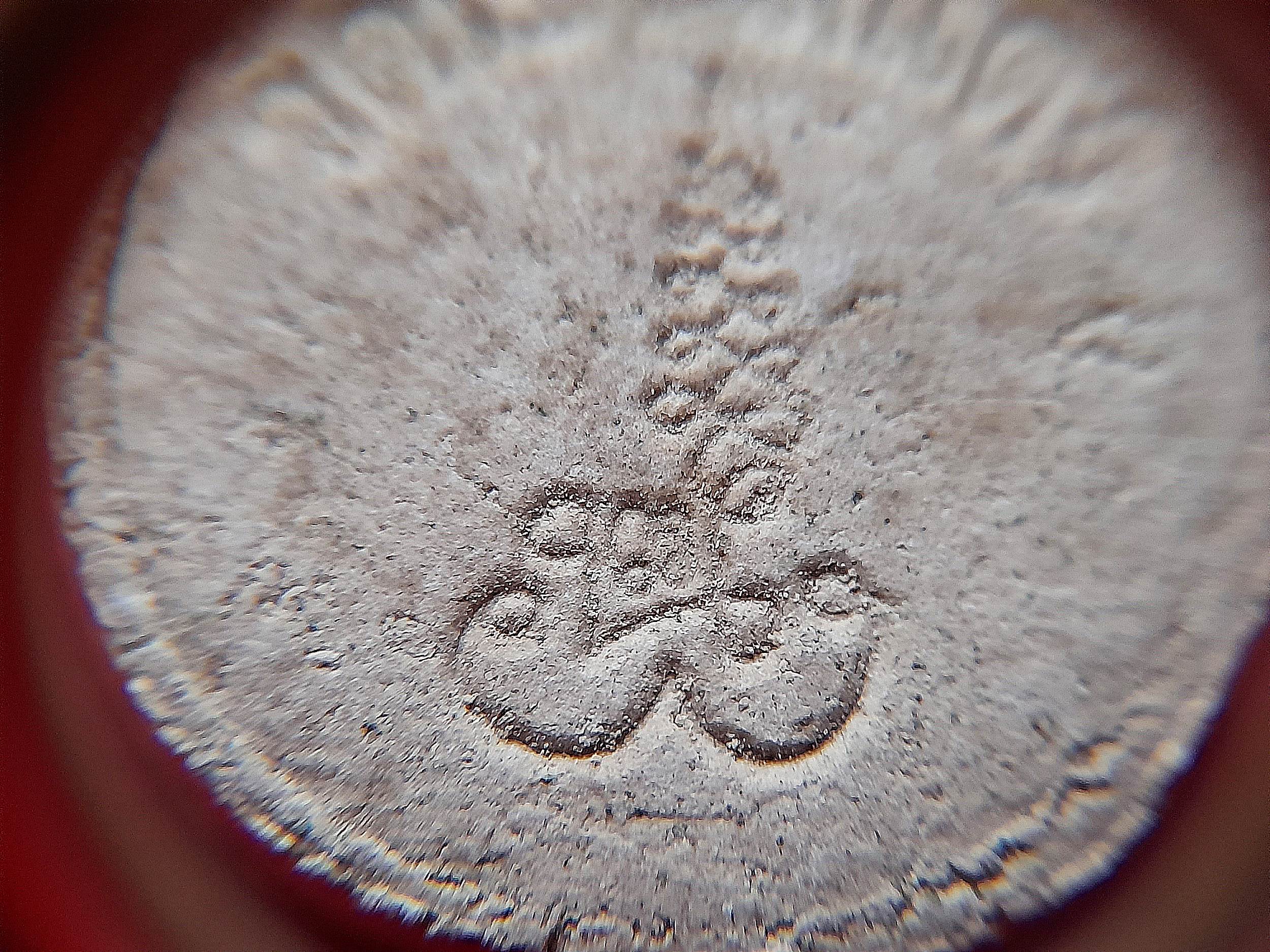 ขุนแผน สะกดทัพ #พิมพ์กลม หลัง ยันต์นะพรชัย (พุทธคุณ สะกดอาถรรพ์ สะกดสิ่งไม่ดี+เมตตา เจรจา ค้าขาย แคล้วคลาด) เนื้อผง ปี2542 (ทิ้งทวน รุ่นสุดท้าย รวมมวลสาร ตลอดยุค) #รับประกันแท้และทัน - หลวงพ่อยงยุทธ วัดเขาไม้แดง จ.ชลบุรี