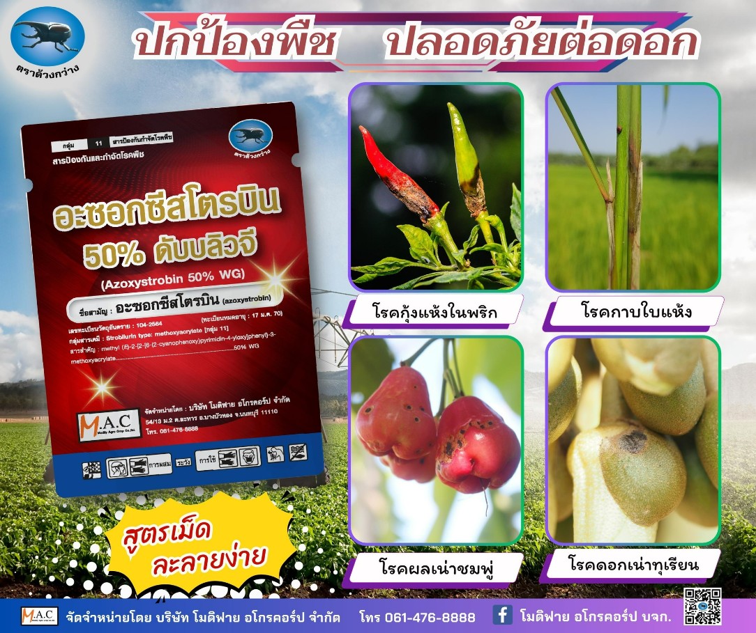ยาเชื้อราทุเรียน อะซอกซีสโตบิน ชนิดผง 100 กรัม