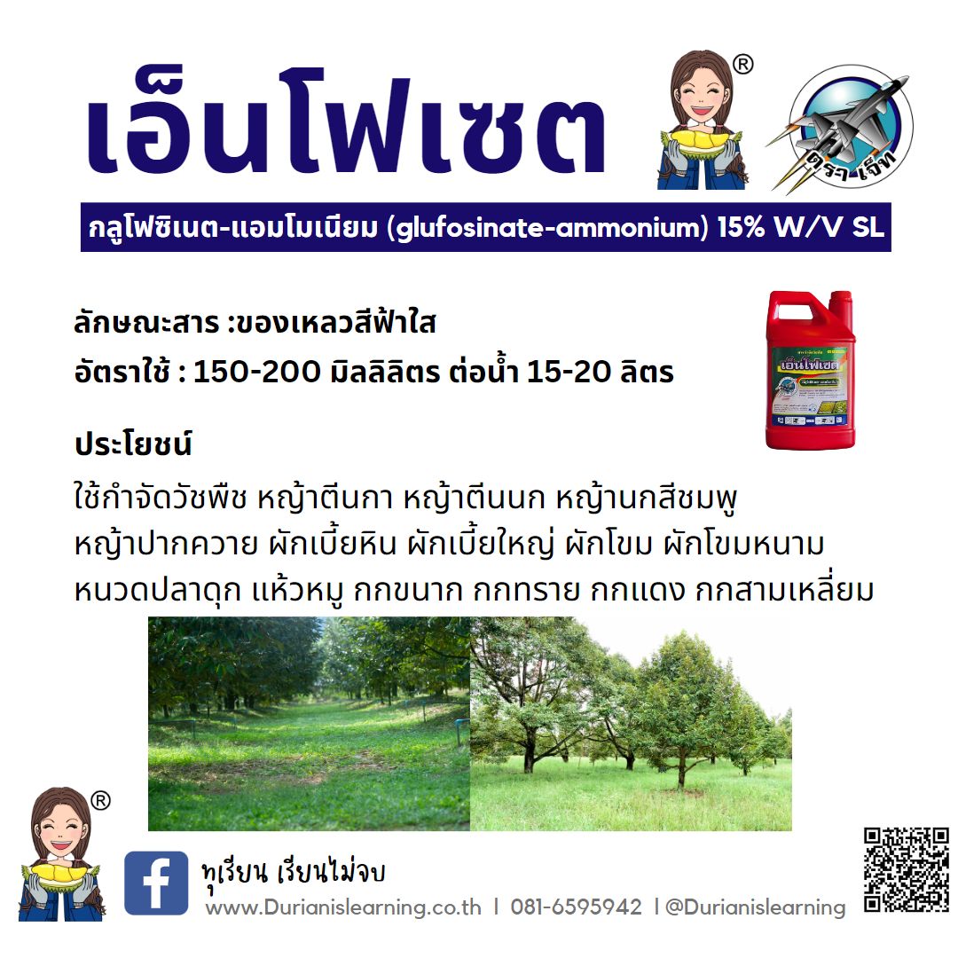 เอ็นโฟเซต #H (6x4 L.) ยกลัง 6 แกลอน กลูโฟซิเนต-แอมโมเนียม (glufosinate-ammonium) 15% W/V SL