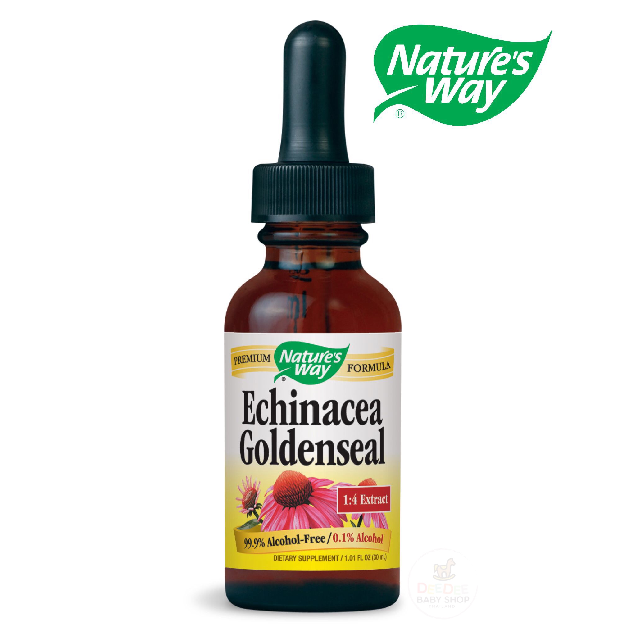วิตามินเสริมสร้างภูมิคุ้มกันเกรดพิเศษ Nature's Way Echinacea Goldenseal Premium Formula