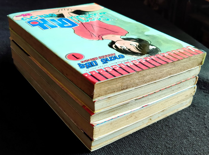 พรอลวน คนอลเวง (5 เล่มจบ)