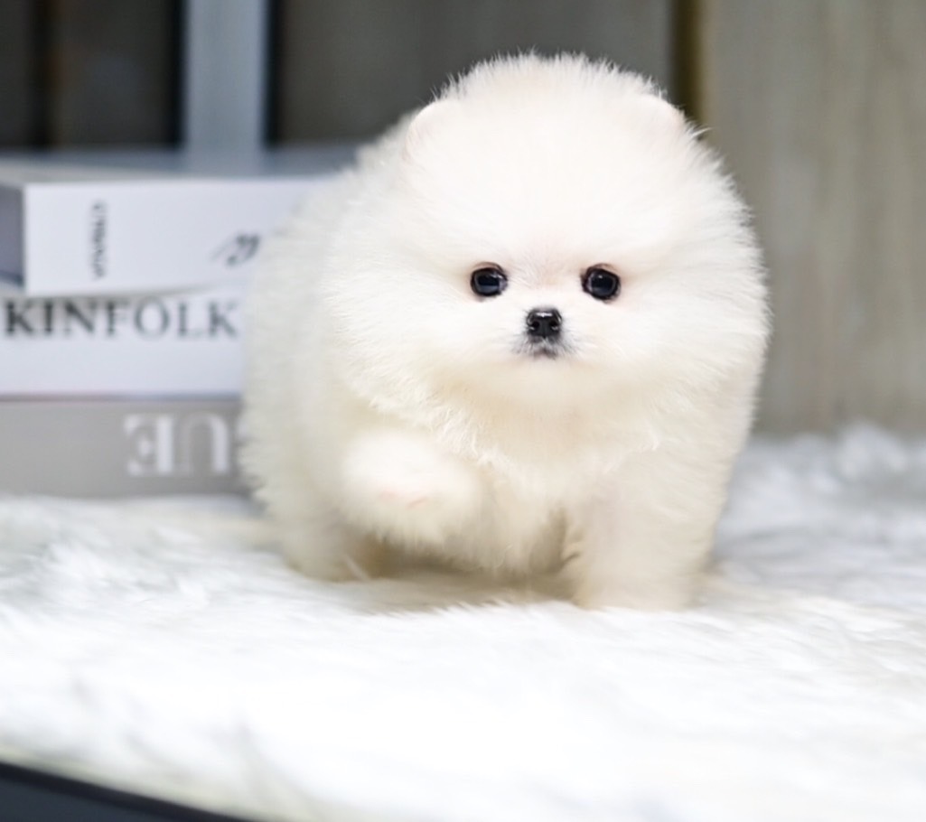 ย้ายบ้านแล้ว