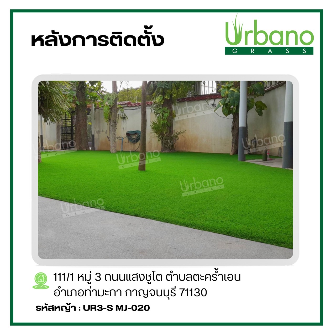 หญ้าเทียม 3ซม. เกรดPremium 2x25 เมตร สำหรับแต่งบ้าน แต่งสวน สีเหมือนจริง Urbano Grass ( เออบ่าโนกร๊าส ) แต่งร้าน แต่งคอนโด
