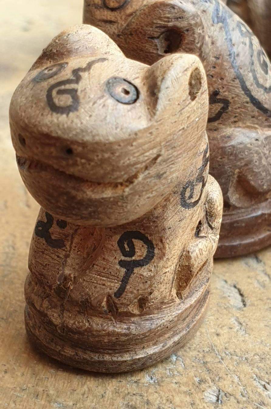 เสือมหากระดอน (ไม้ข่ามเฒ่า) (พิมพ์ยิ้ม) ปี2561 วัดปากคลองมะข่ามเฒ่า จ.ชัยนาท - (ปลุกเสกในสายหลวงปู่ศุข)