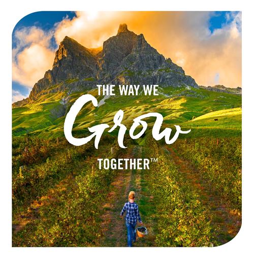 วิตามินเสริมสร้างภูมิคุ้มกันสำหรับเด็กแบบออแกนิก Nature's Way Organic Sambucus for Kids