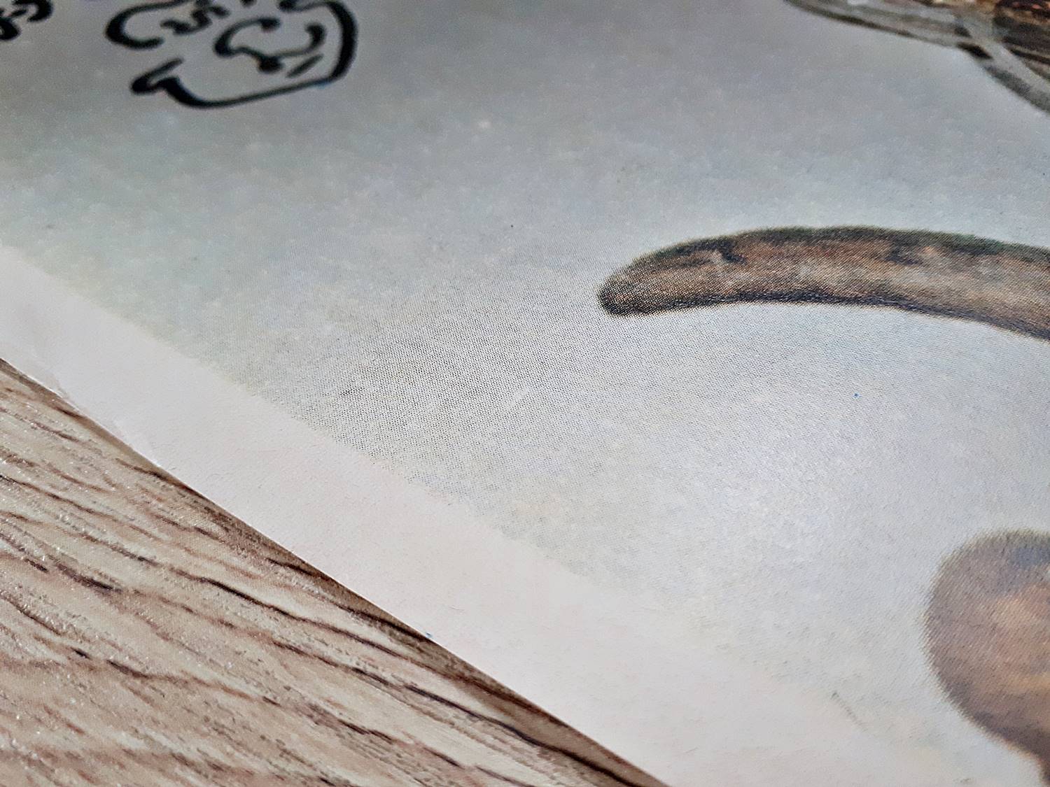 รูปภาพ หลวงปู่ครูบาธรรมชัย ด้านหลัง ยันต์รวม ปี2529 (ก่อนท่านมรณะภาพปี2530) (ขนาด 40-50ซม.) #รับประกันแท้และทัน