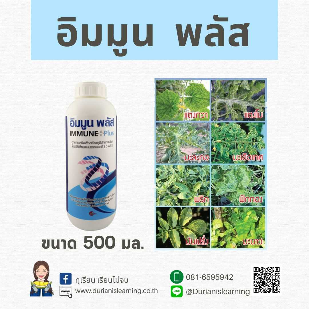 อิมมูนพลัส ป้องกันโรคเชื้อราแบคทีเรียและไวรัส