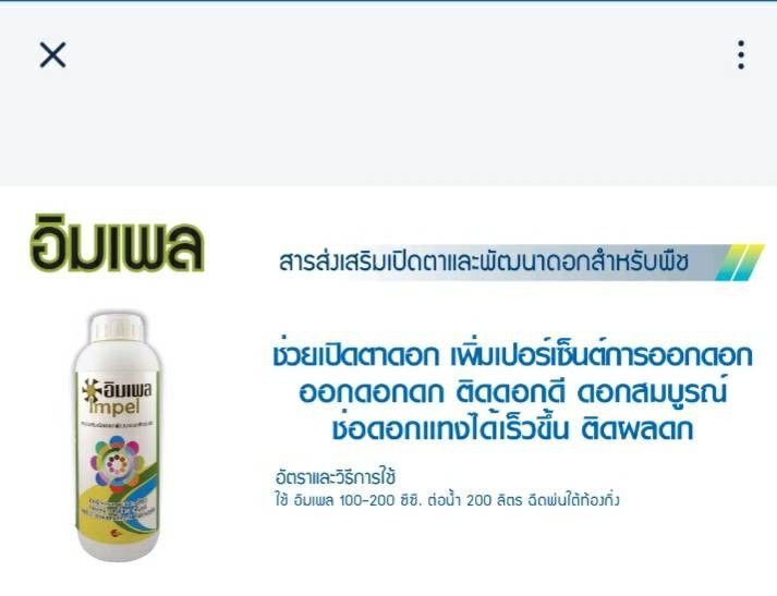 อิมเพล สาหร่ายสูตรเปิดตาดอก ใช้ในการเปิดตาดอกทุเรียน