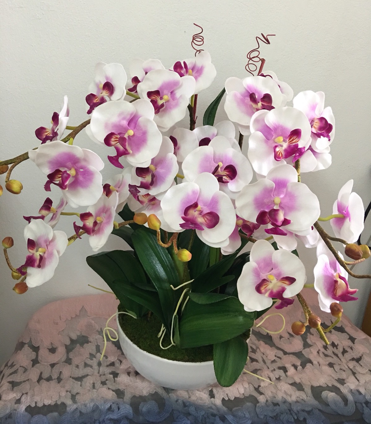 ดอกกล้วยไม้ ช่อใหญ่ สีชมพู่ขาว (สูง23นิ้ว กว้าง16นิ้ว) พร้อมกระถาง