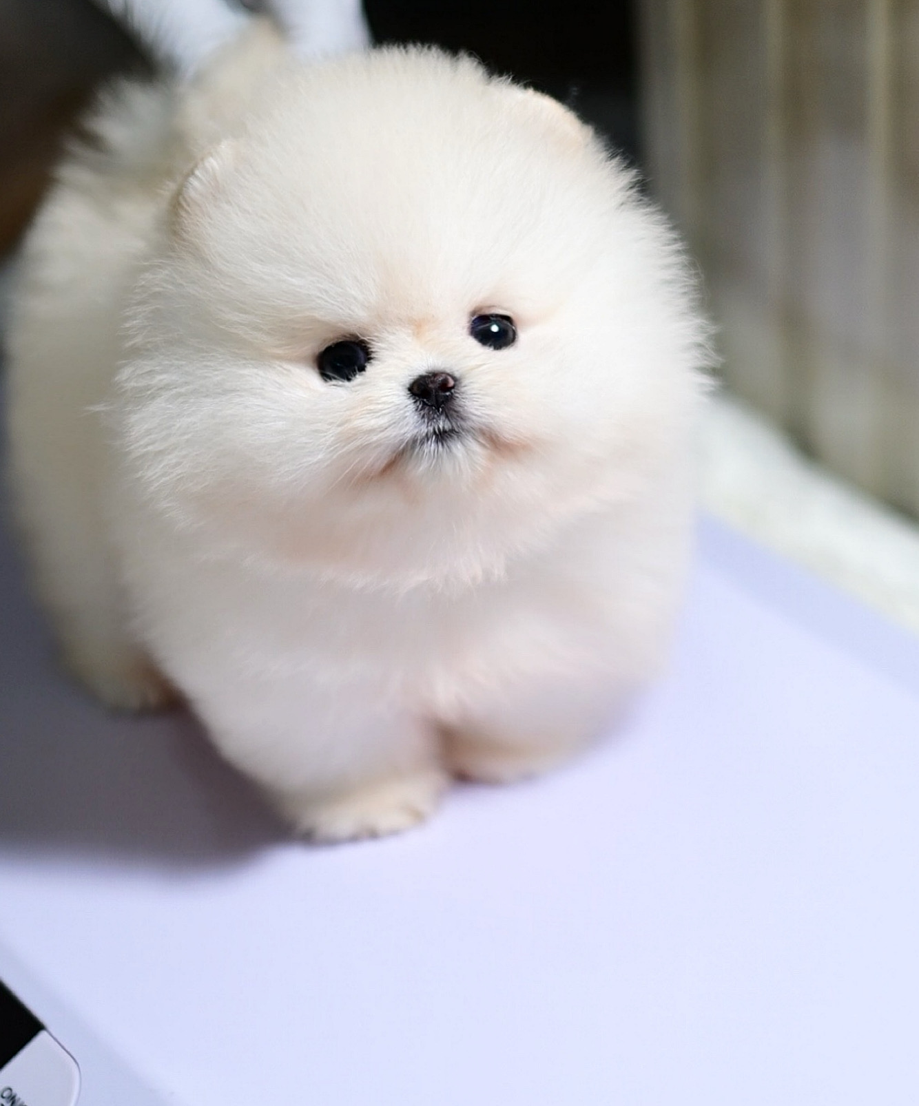 ย้ายบ้านแล้ว