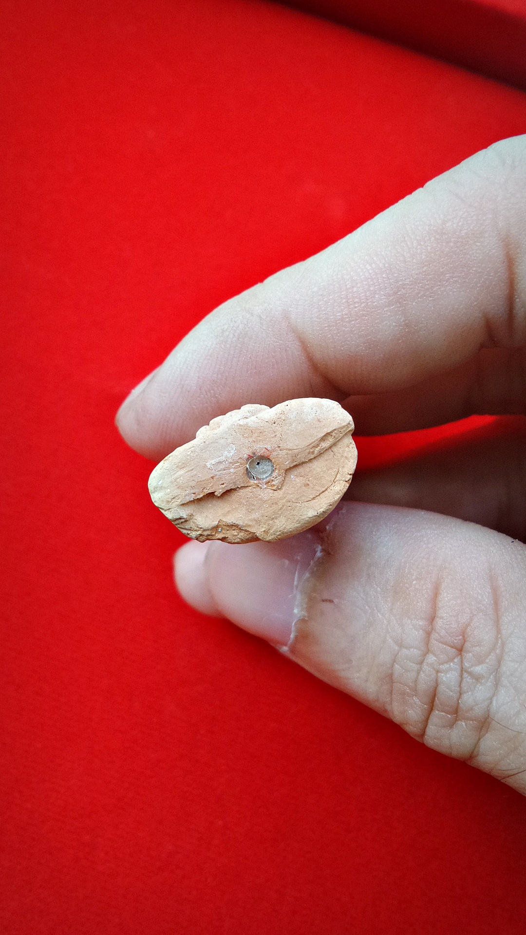 กุมารทอง เทพรวยทันใจ ปี2559 #รับประกันแท้ - หลวงปู่อุดมทรัพย์ วัดเวฬุวัน