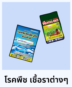 หมวดหมู่สินค้าแนะนำของเรา ร้านทุเรียน เรียนไม่จบ ปุ๋ย - ยา ออนไลน์ โรคพืช เชื้อราต่างๆ คิวแมกซ์ สารกำจัดไร อุปกรณ์ และเซฟตี้