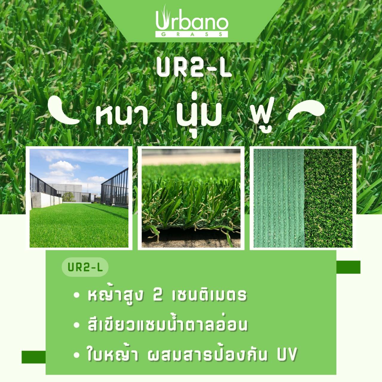 หญ้าเทียม รุ่น 2 cm.สีเขียมแซมน้ำตาล เกรดพรีเมี่ยม Urbano Grass เออบาโน่กร๊าส สำหรับแต่งสวน