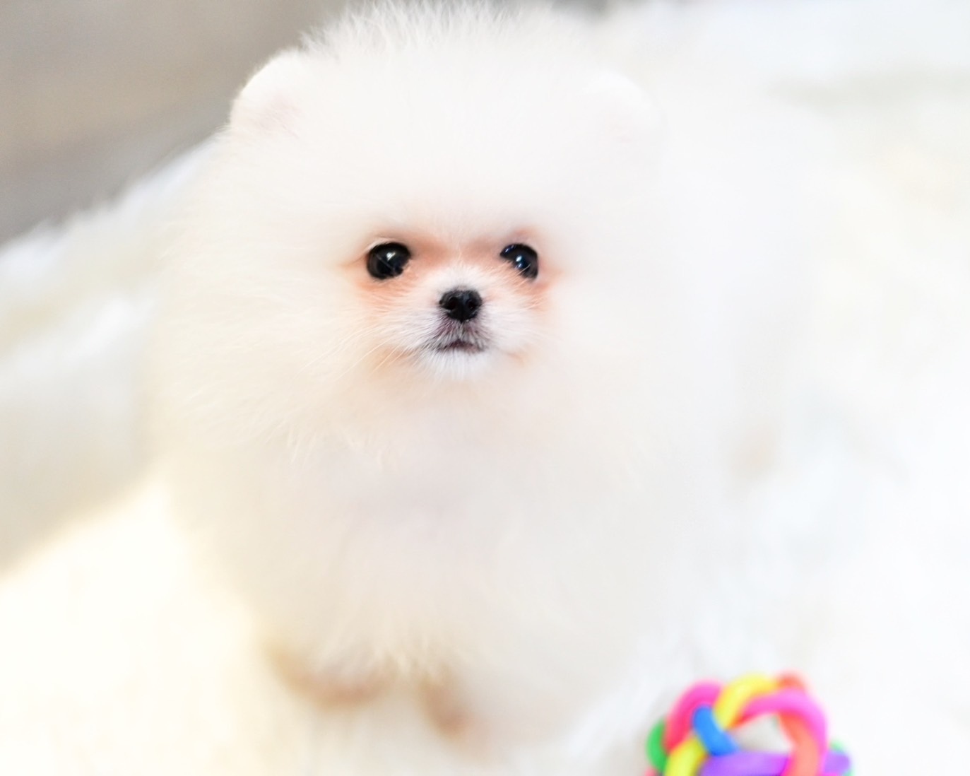 ย้ายบ้านแล้ว