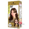 ( Berry ASH ) Schwarzkopf Freshlight Form Color สีน้ำตาลเทา สวารอฟสกี้ ยาย้อมสีผม ยาเปลี่ยนสีผม สีน้ำตาลเทา