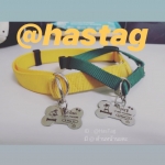 น้องหมาหาย...ทุกข์ของคนรักสุนัข