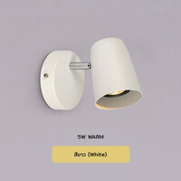 สี ขาว (White)