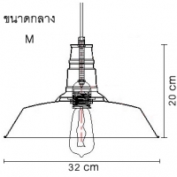 ขนาดกลาง (M)