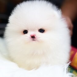 ย้ายบ้านแล้ว