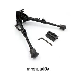 🇹🇭⫸ ขาทรายสปริง